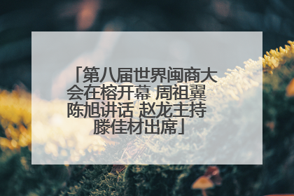 第八届世界闽商大会在榕开幕 周祖翼陈旭讲话 赵龙主持 滕佳材出席