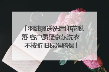羽绒服送洗后印花脱落 客户质疑京东洗衣不按折旧标准赔偿