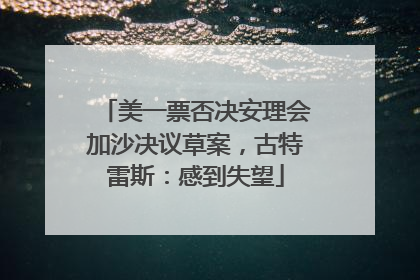 美一票否决安理会加沙决议草案，古特雷斯：感到失望
