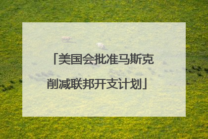 美国会批准马斯克削减联邦开支计划