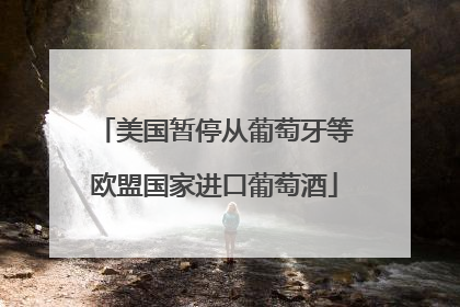 美国暂停从葡萄牙等欧盟国家进口葡萄酒