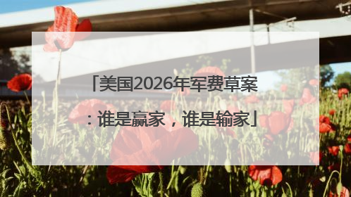 美国2026年军费草案：谁是赢家，谁是输家