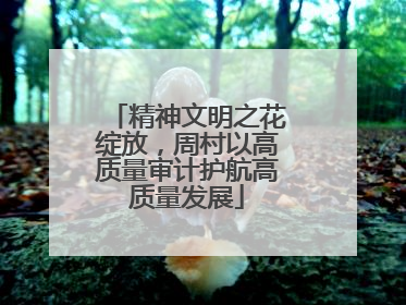 精神文明之花绽放，周村以高质量审计护航高质量发展