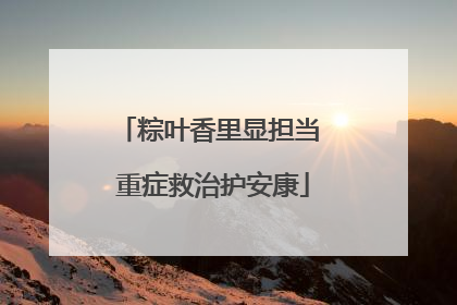 粽叶香里显担当 重症救治护安康