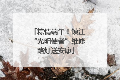 粽情端午！镇江“光明使者”维修路灯送安康