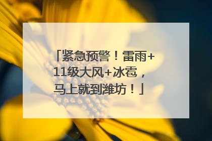 紧急预警！雷雨+11级大风+冰雹，马上就到潍坊！