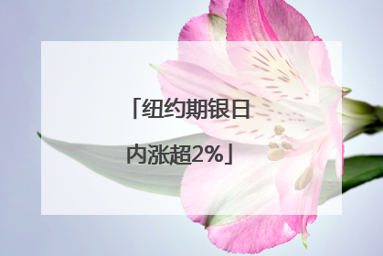 纽约期银日内涨超2%