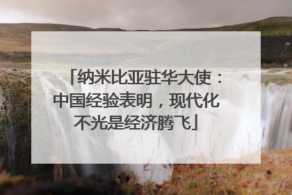 纳米比亚驻华大使：中国经验表明，现代化不光是经济腾飞