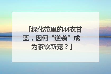 绿化带里的羽衣甘蓝，因何“逆袭”成为茶饮新宠？