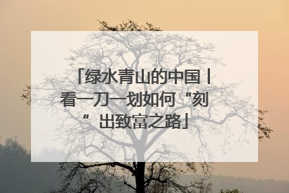 绿水青山的中国丨看一刀一划如何“刻”出致富之路
