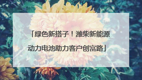 绿色新搭子！潍柴新能源动力电池助力客户创富路