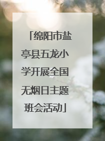 绵阳市盐亭县五龙小学开展全国无烟日主题班会活动