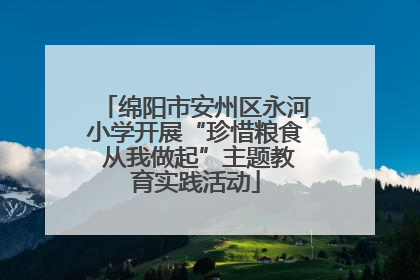 绵阳市安州区永河小学开展“珍惜粮食 从我做起”主题教育实践活动