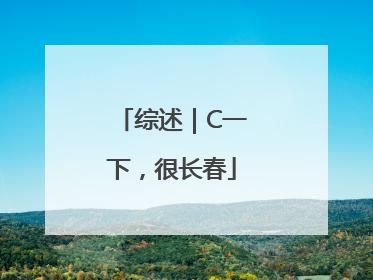 综述｜C一下，很长春