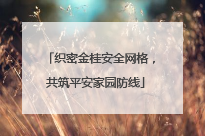 织密金桂安全网格，共筑平安家园防线