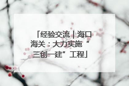 经验交流｜海口海关：大力实施“三创一建”工程