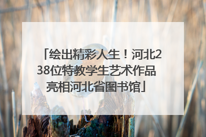 绘出精彩人生！河北238位特教学生艺术作品亮相河北省图书馆
