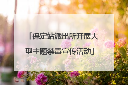 保定站派出所开展大型主题禁毒宣传活动