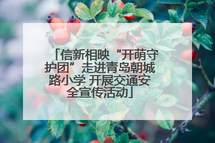 信新相映“开萌守护团”走进青岛朝城路小学 开展交通安全宣传活动