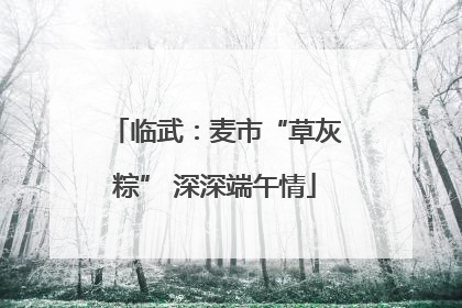临武：麦市“草灰粽” 深深端午情