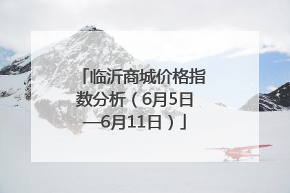 临沂商城价格指数分析（6月5日—6月11日）