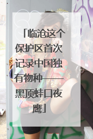 临沧这个保护区首次记录中国独有物种——黑顶蛙口夜鹰
