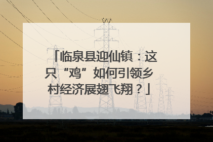 临泉县迎仙镇：这只“鸡”如何引领乡村经济展翅飞翔？