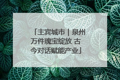 主宾城市｜泉州万件瑰宝绽放 古今对话赋能产业