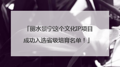 丽水景宁这个文化IP项目成功入选省级培育名单！
