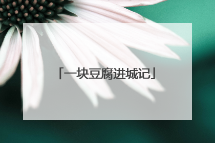 一块豆腐进城记