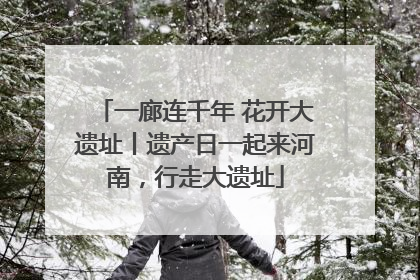 一廊连千年 花开大遗址丨遗产日一起来河南，行走大遗址