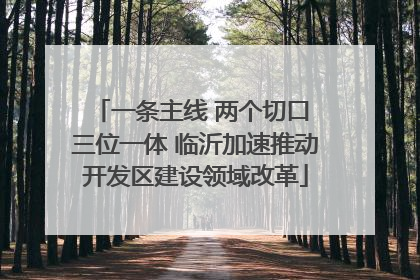 一条主线 两个切口 三位一体 临沂加速推动开发区建设领域改革