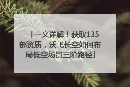 一文详解！获取135部资质，沃飞长空如何布局低空场景三阶路径