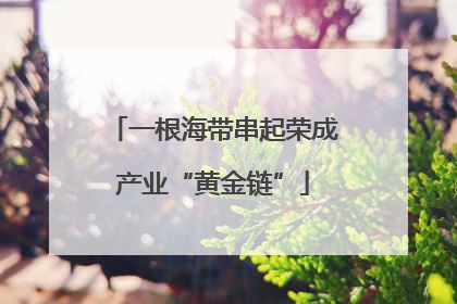 一根海带串起荣成产业“黄金链”
