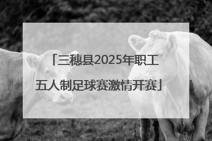 三穗县2025年职工五人制足球赛激情开赛