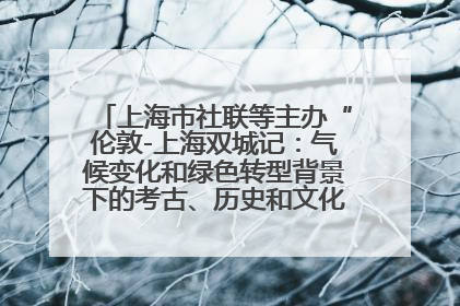 上海市社联等主办“伦敦-上海双城记：气候变化和绿色转型背景下的考古、历史和文化遗产”学术对话