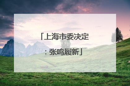 上海市委决定：张鸣履新