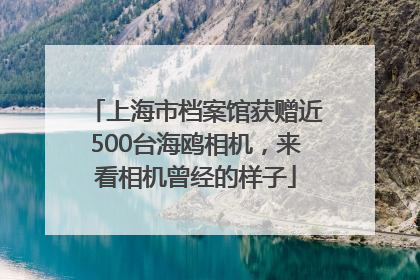 上海市档案馆获赠近500台海鸥相机，来看相机曾经的样子