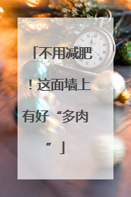 不用减肥！这面墙上有好“多肉”