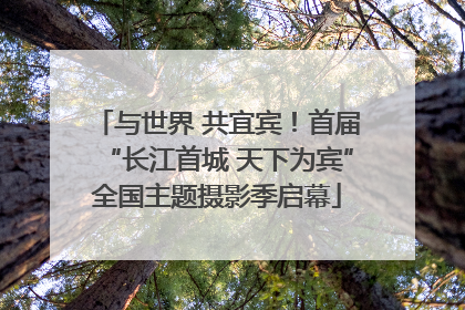 与世界 共宜宾！首届“长江首城 天下为宾”全国主题摄影季启幕