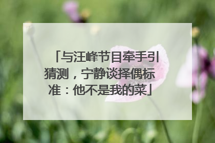 与汪峰节目牵手引猜测，宁静谈择偶标准：他不是我的菜