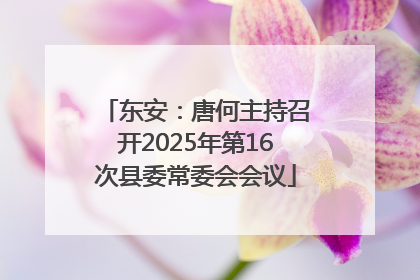 东安：唐何主持召开2025年第16次县委常委会会议