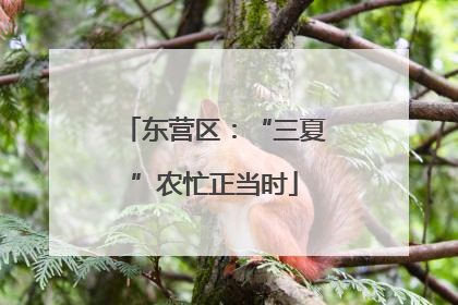 东营区：“三夏”农忙正当时