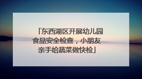 东西湖区开展幼儿园食品安全检查，小朋友亲手给蔬菜做快检