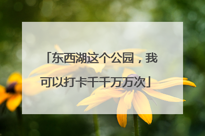 东西湖这个公园，我可以打卡千千万万次
