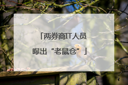 两券商IT人员曝出“老鼠仓”
