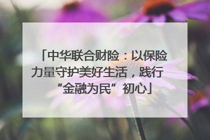 中华联合财险：以保险力量守护美好生活，践行“金融为民”初心