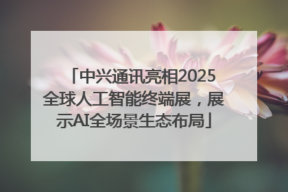 中兴通讯亮相2025全球人工智能终端展，展示AI全场景生态布局