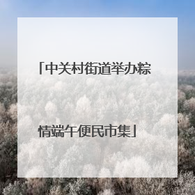 中关村街道举办粽情端午便民市集