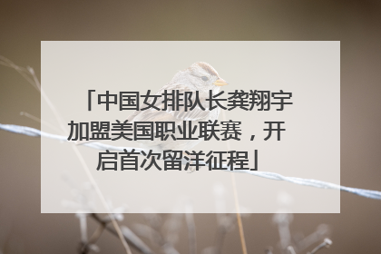 中国女排队长龚翔宇加盟美国职业联赛，开启首次留洋征程